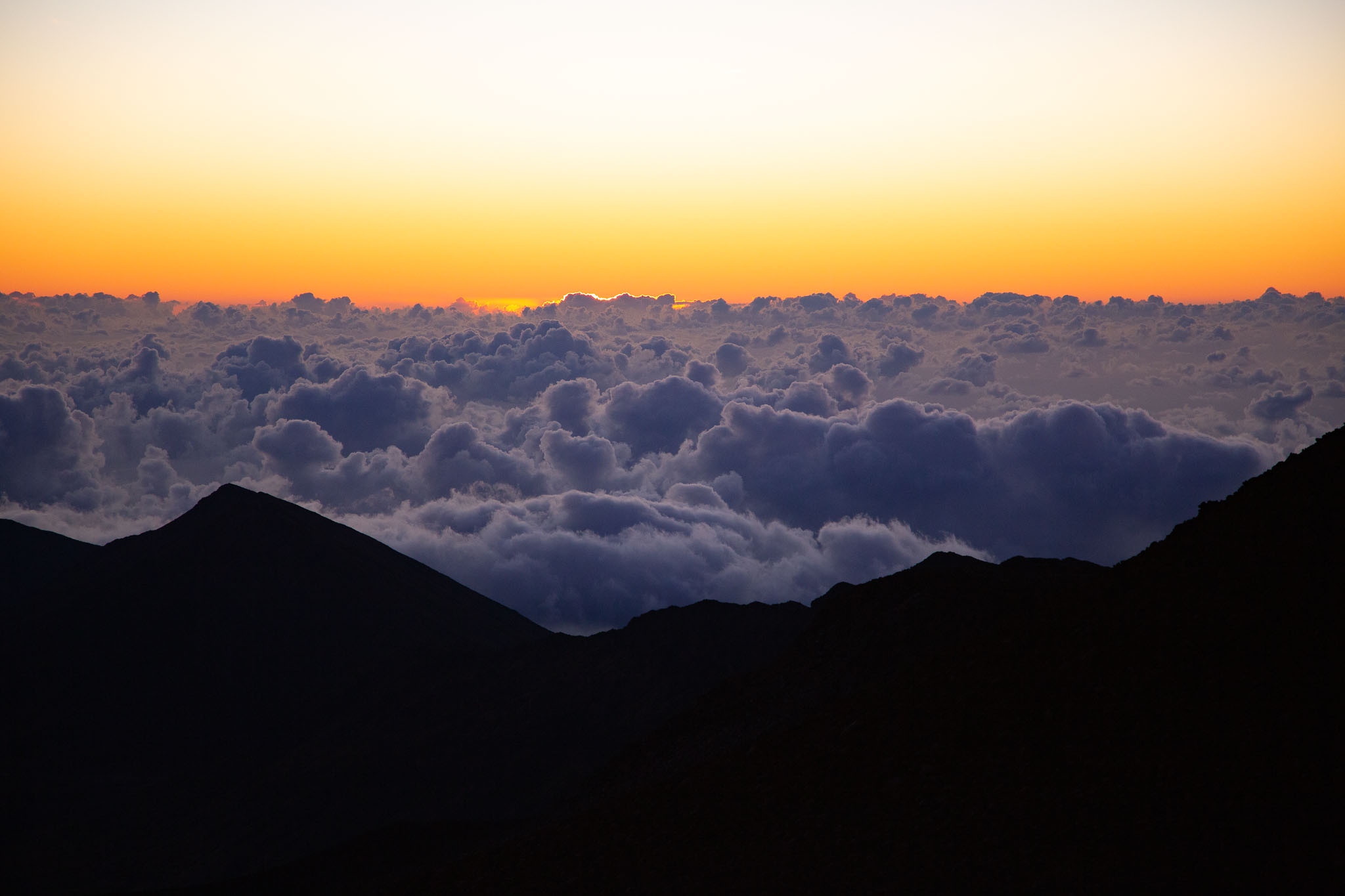 Hawaii2019-300.jpg