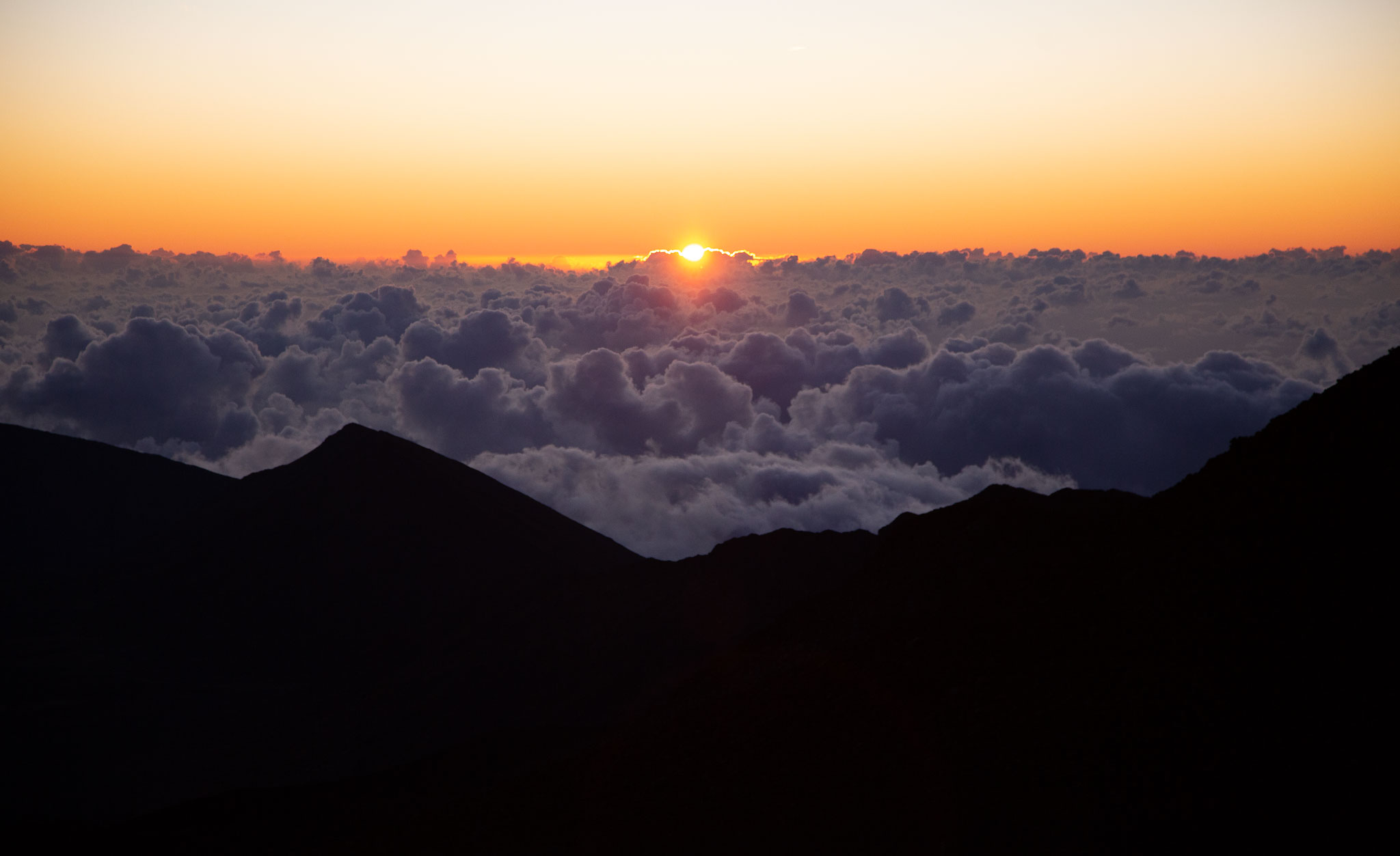 Hawaii2019-301.jpg