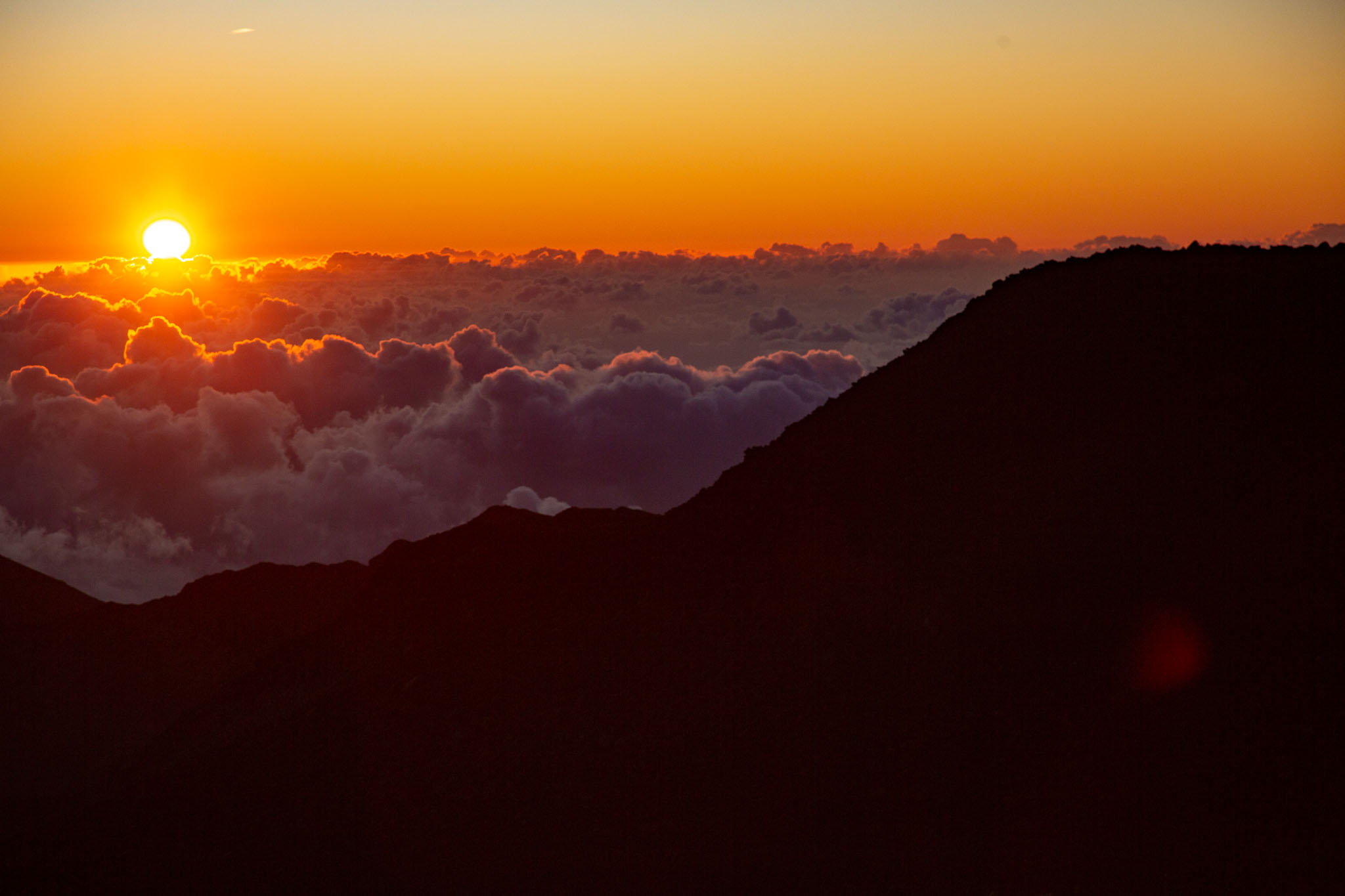 Hawaii2019-305.jpg
