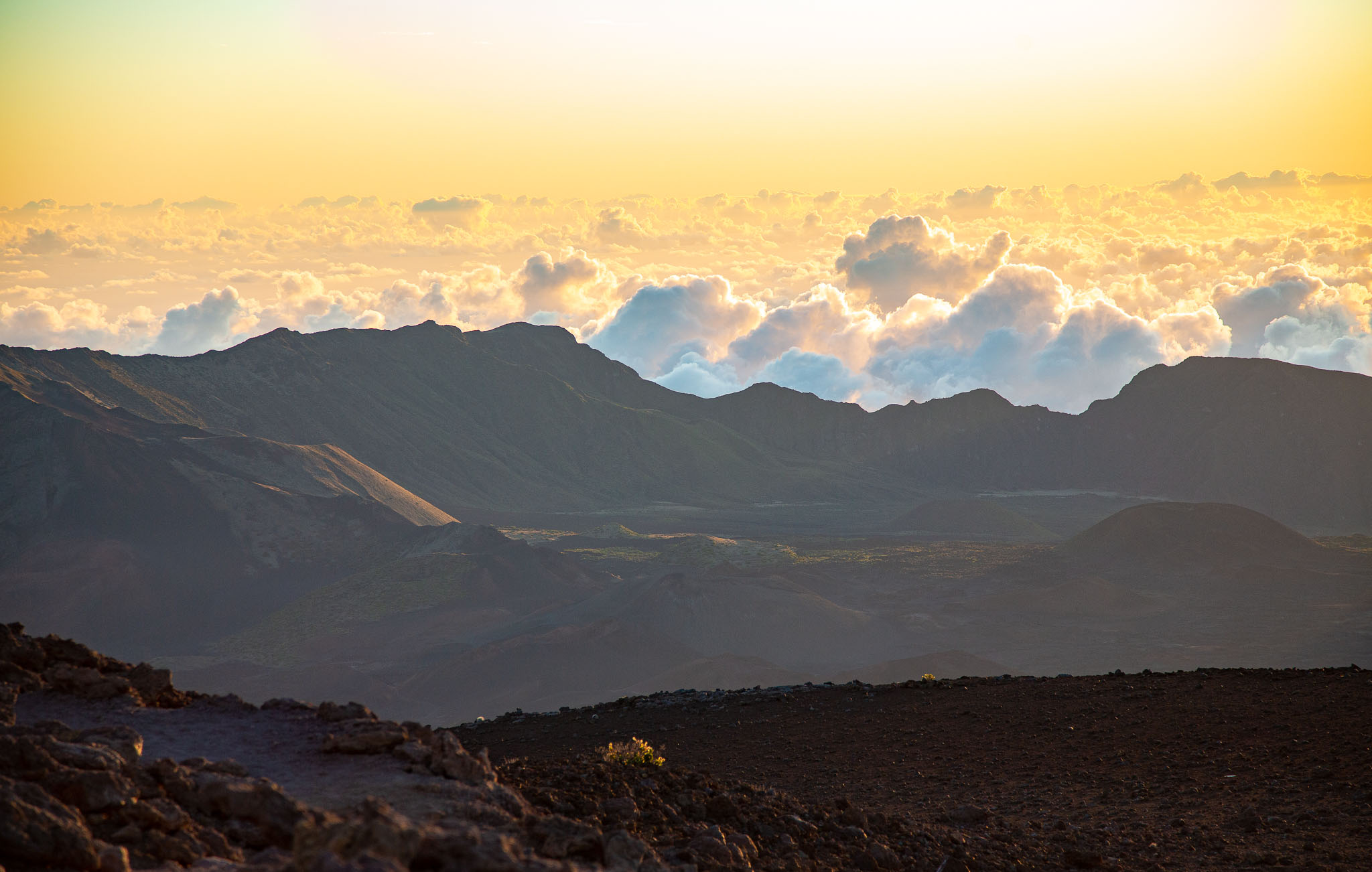 Hawaii2019-311.jpg