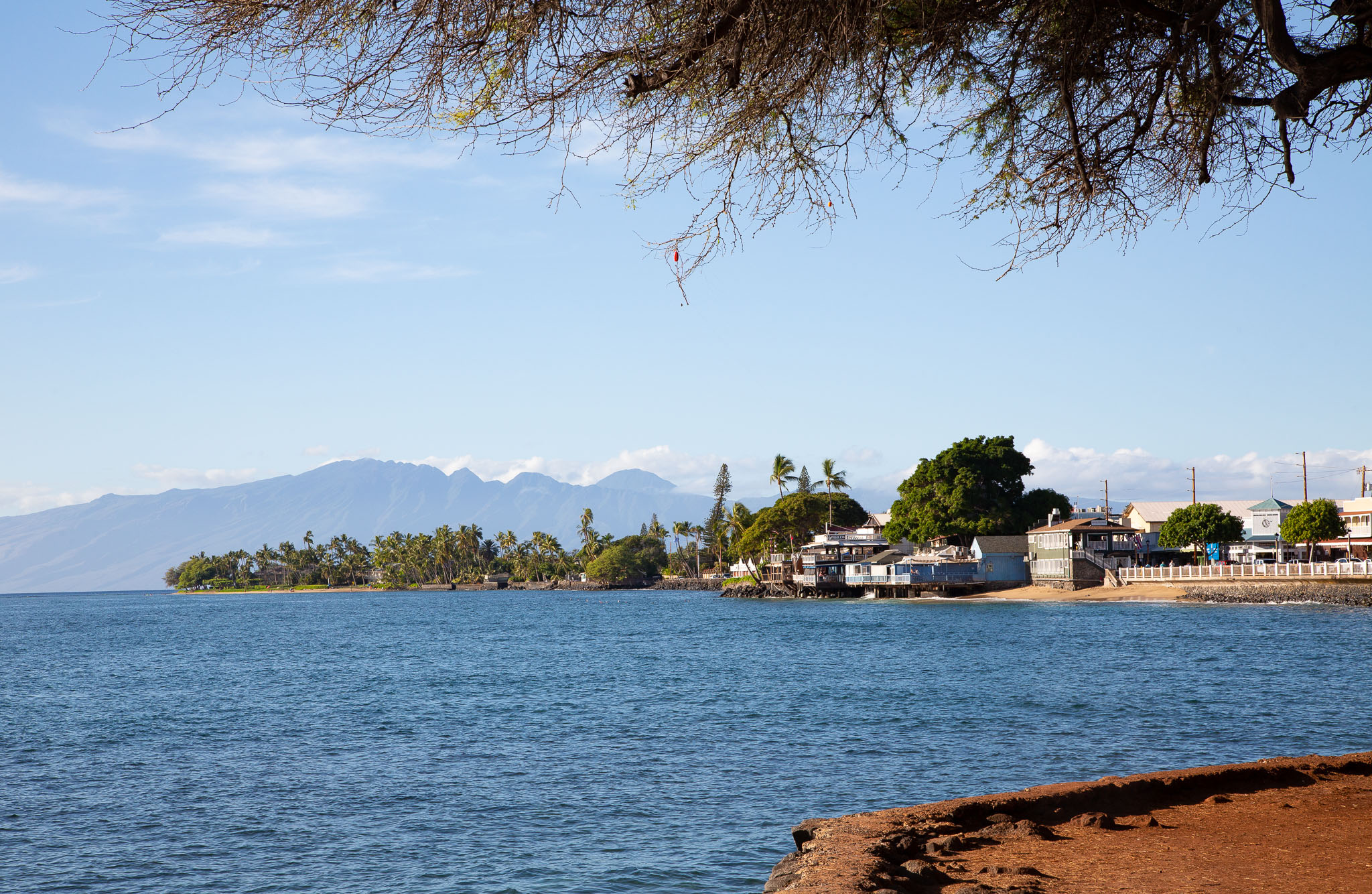 Hawaii2019-391.jpg