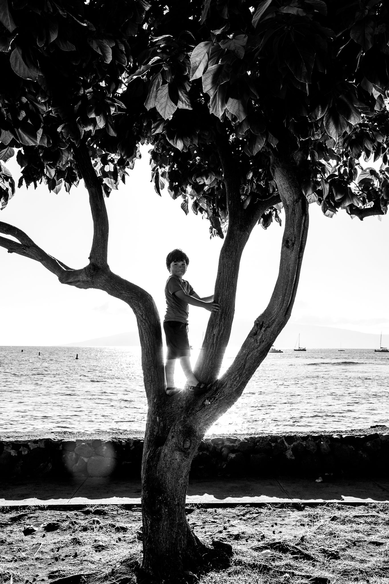Hawaii2019-403.jpg