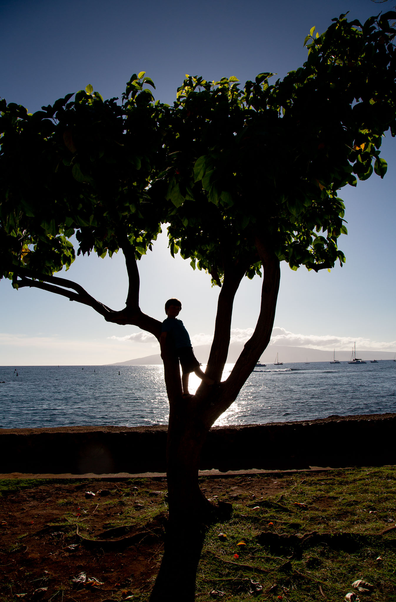 Hawaii2019-405.jpg