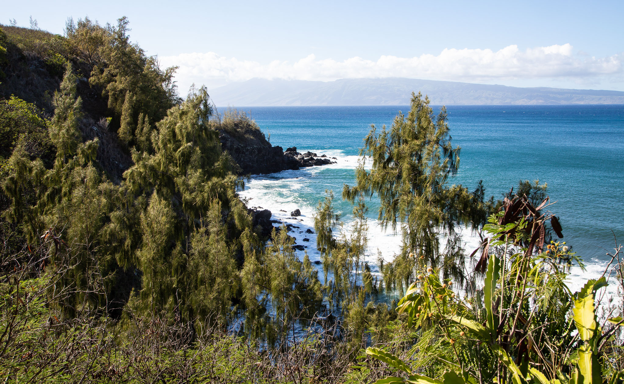 Hawaii2019-439.jpg