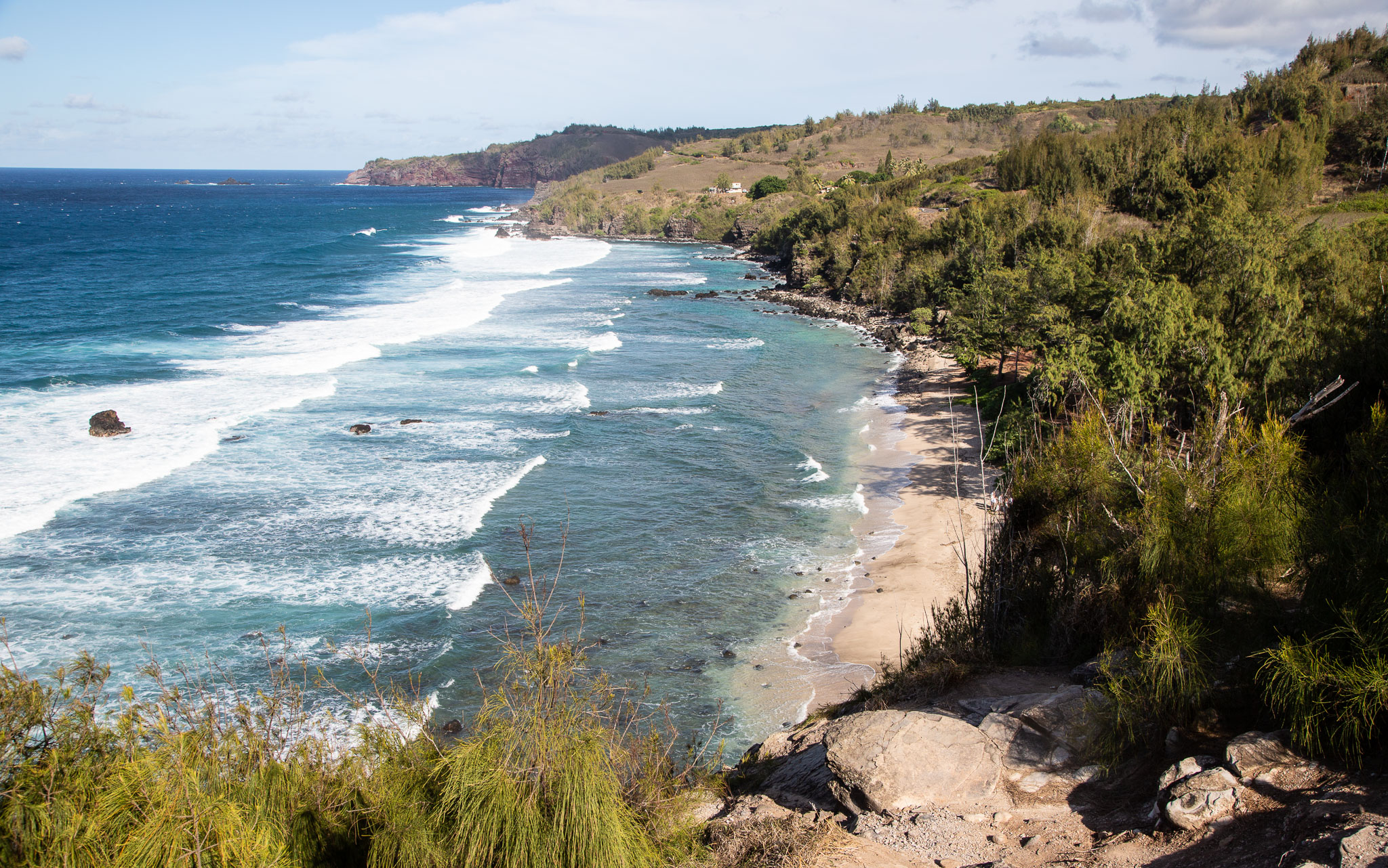 Hawaii2019-441.jpg
