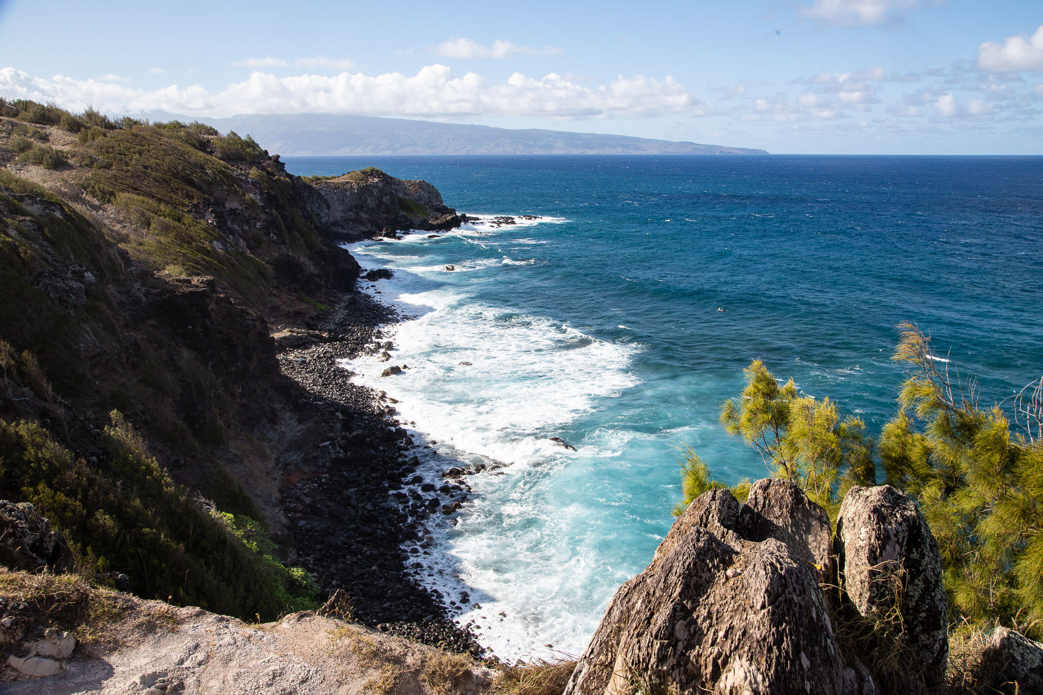 Hawaii2019-447.jpg
