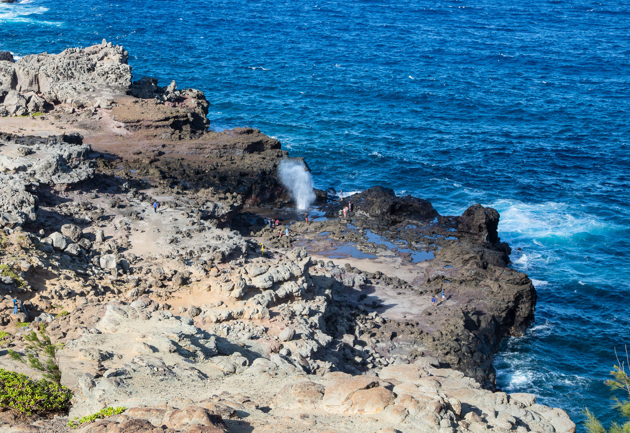 Hawaii2019-454.jpg