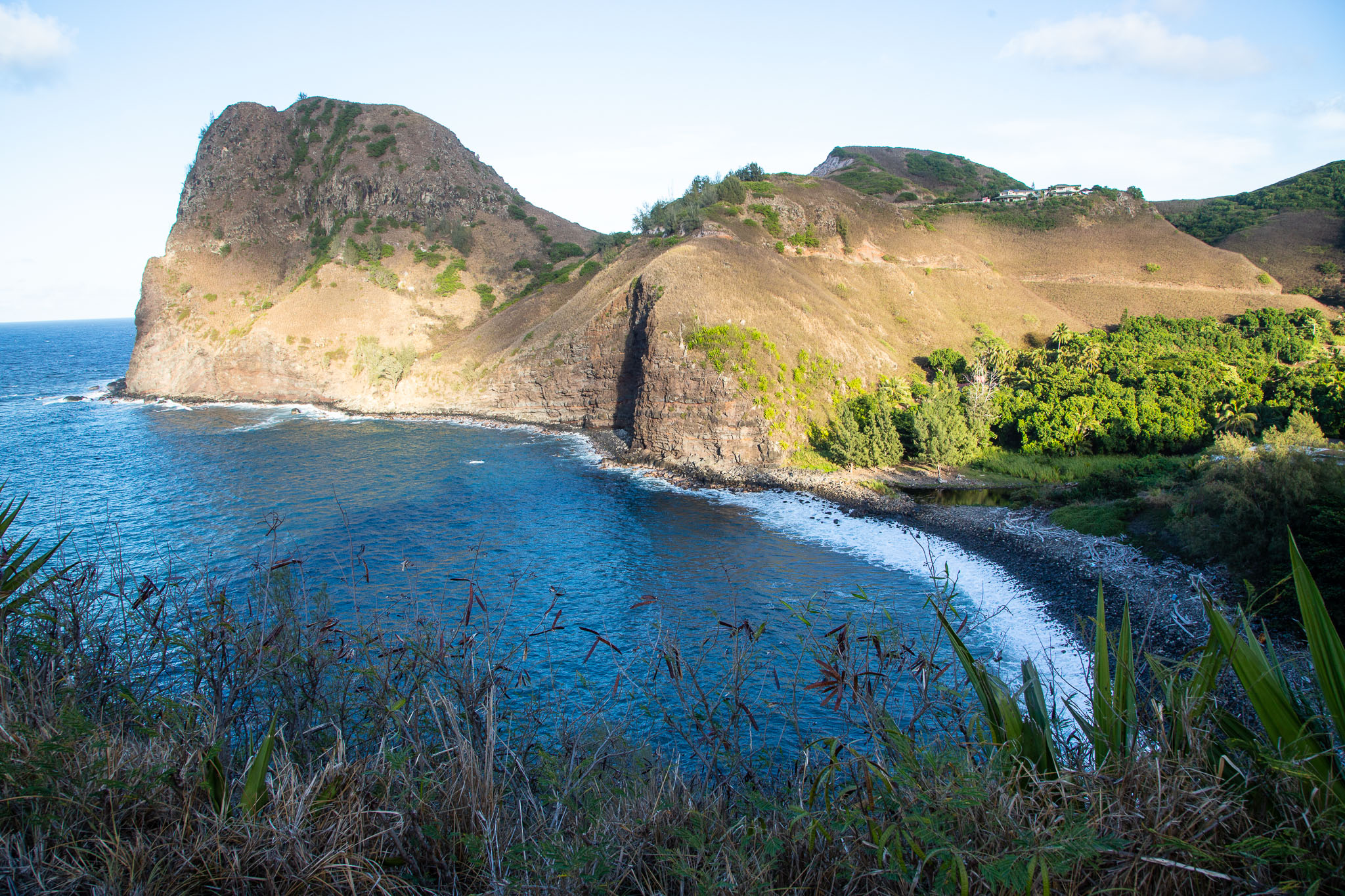 Hawaii2019-510.jpg