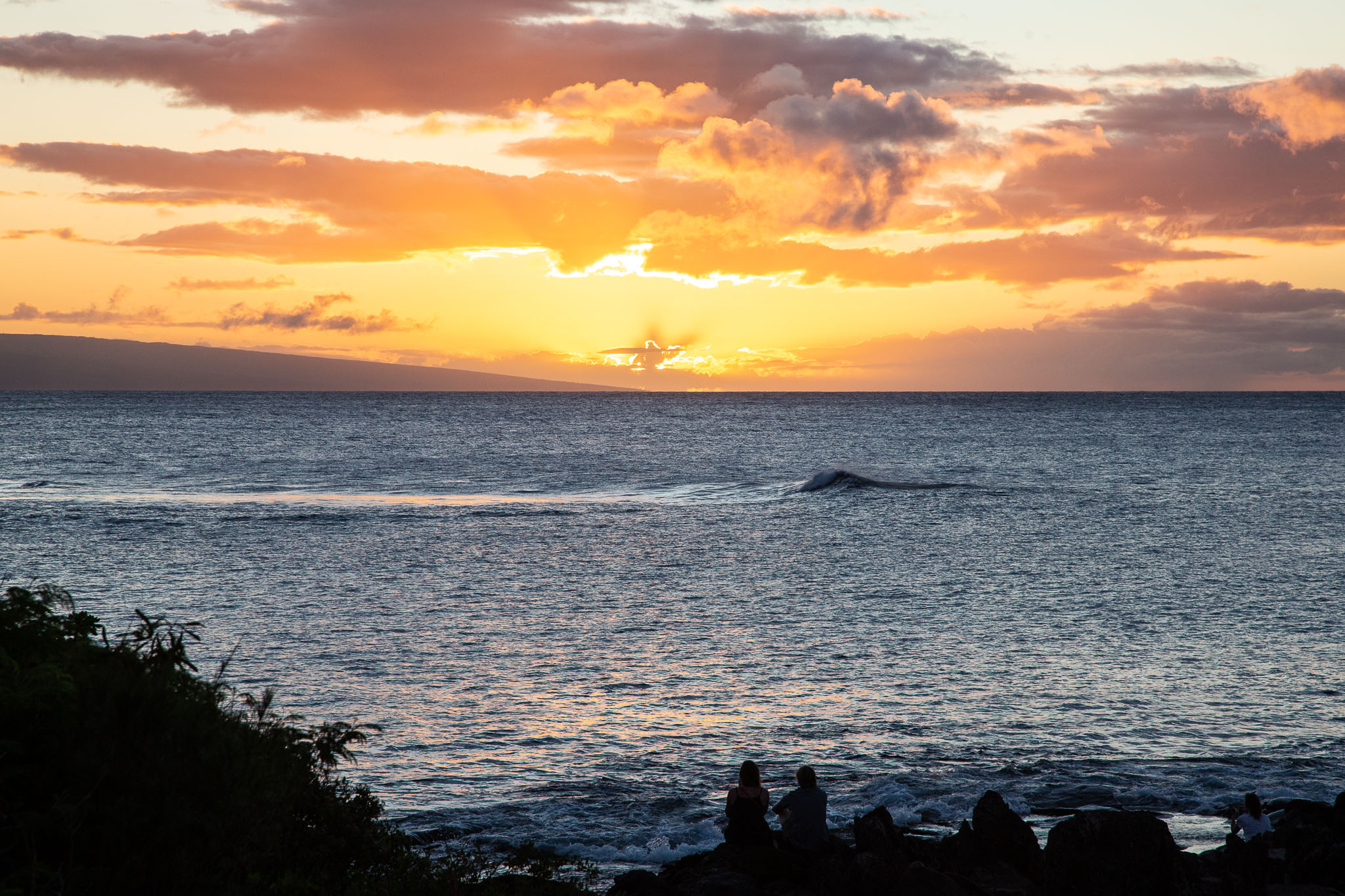 Hawaii2019-556.jpg
