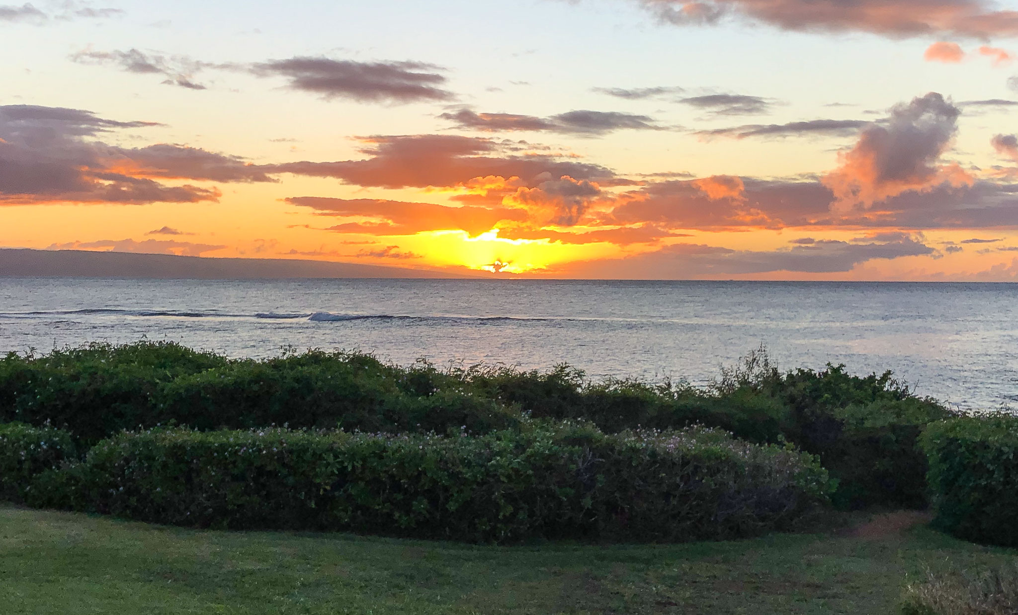Hawaii2019-Illiana-192.jpg