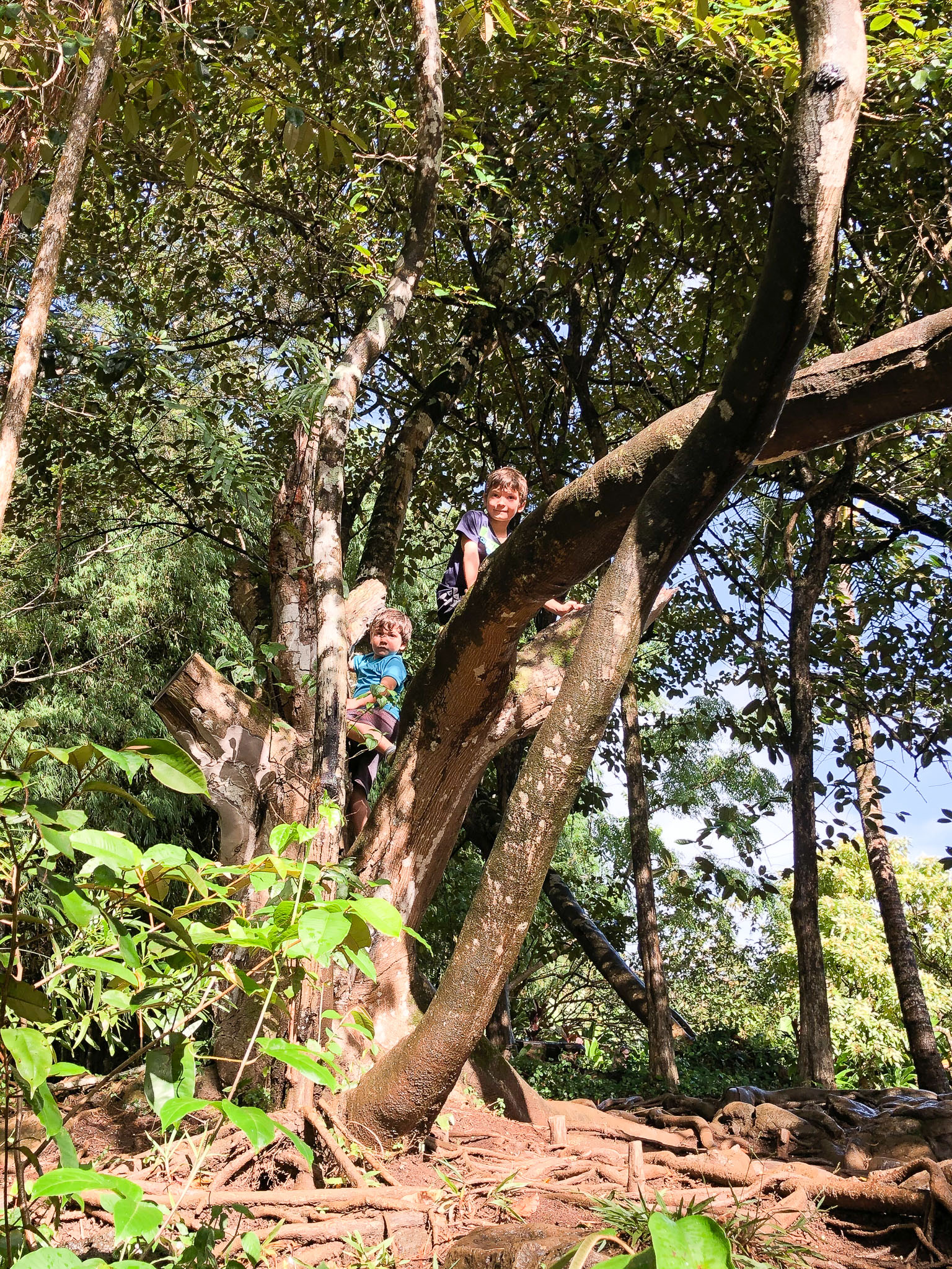 Hawaii2019-Illiana-48.jpg