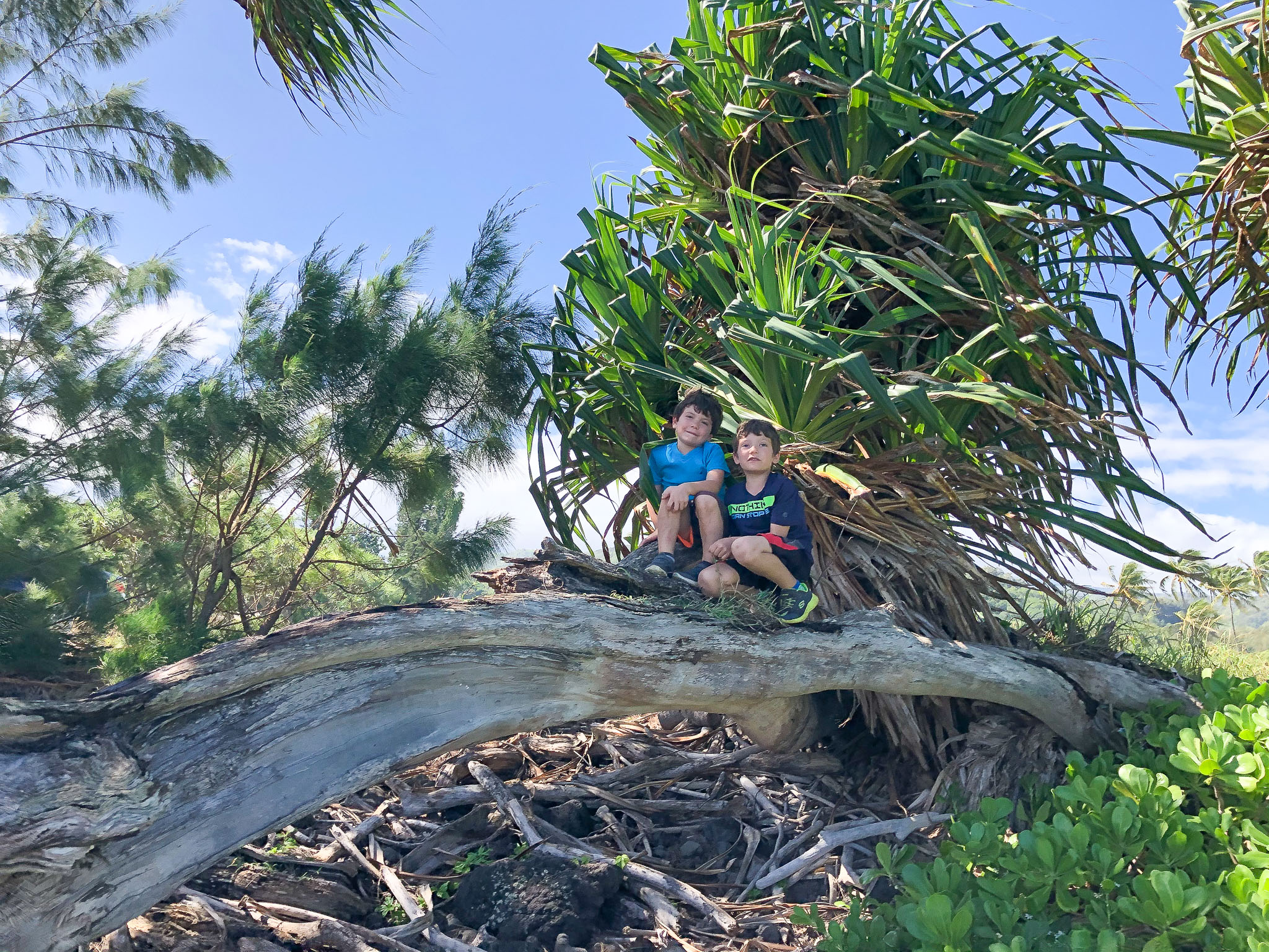 Hawaii2019-Illiana-63.jpg