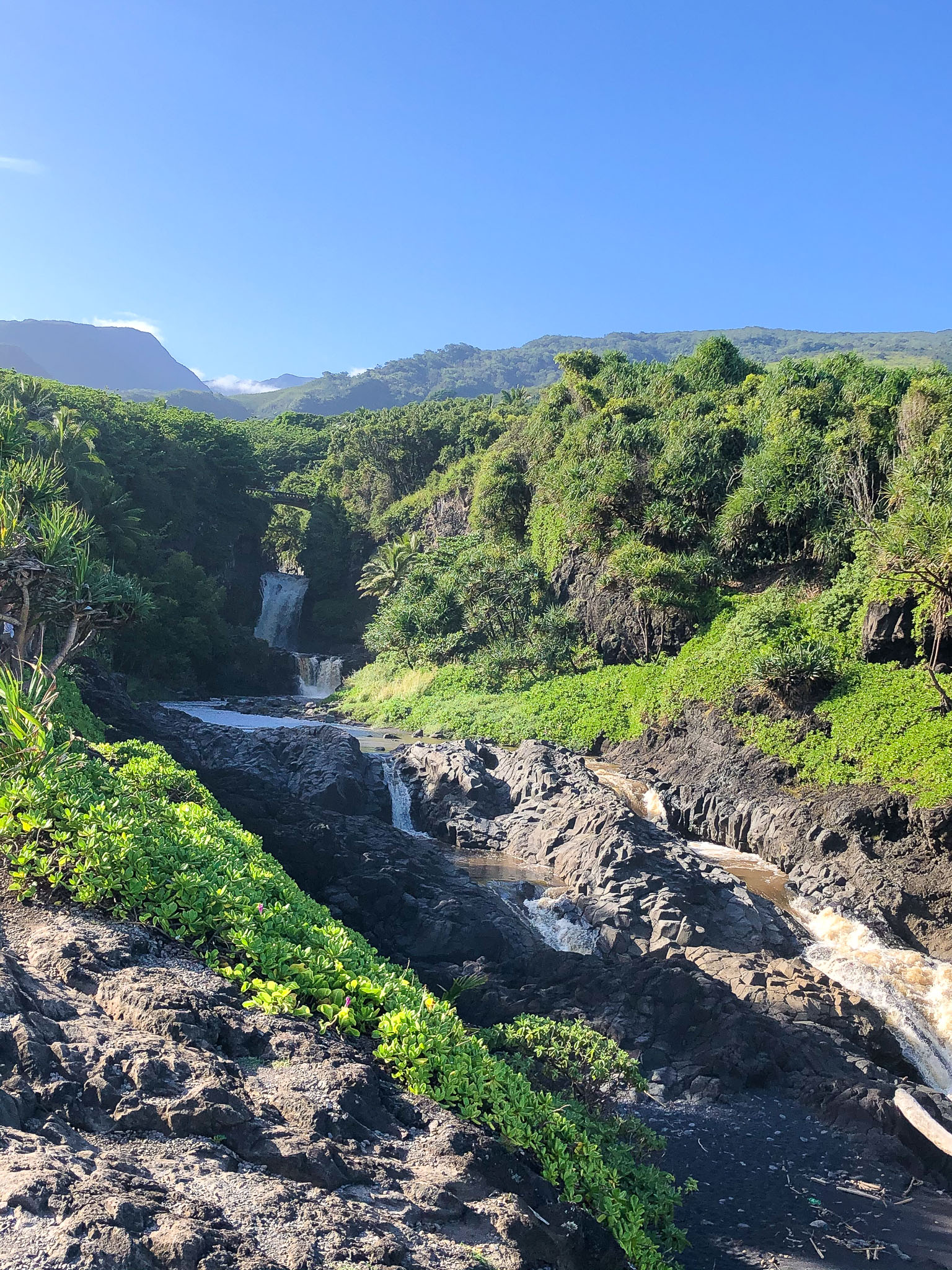 Hawaii2019-Illiana-88.jpg