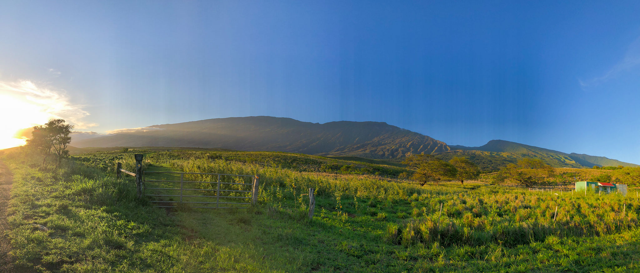 Hawaii2019-Illiana-96.jpg