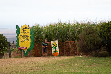 Hawaii2019-574.jpg