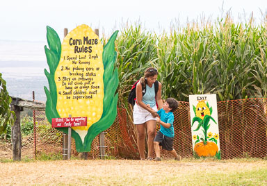 Hawaii2019-575.jpg