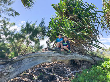 Hawaii2019-Illiana-63.jpg