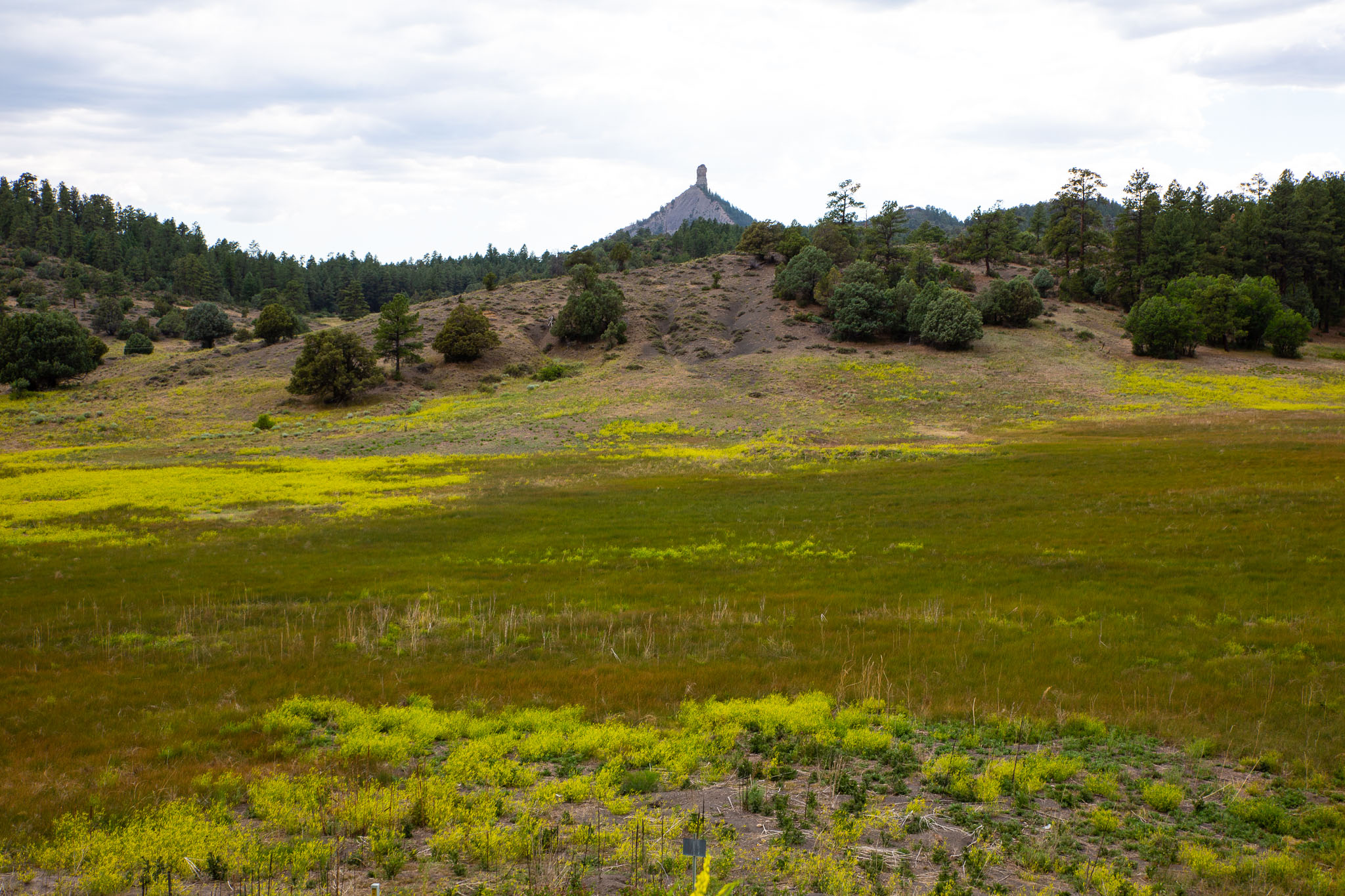 Colorado2020-0366-146.jpg