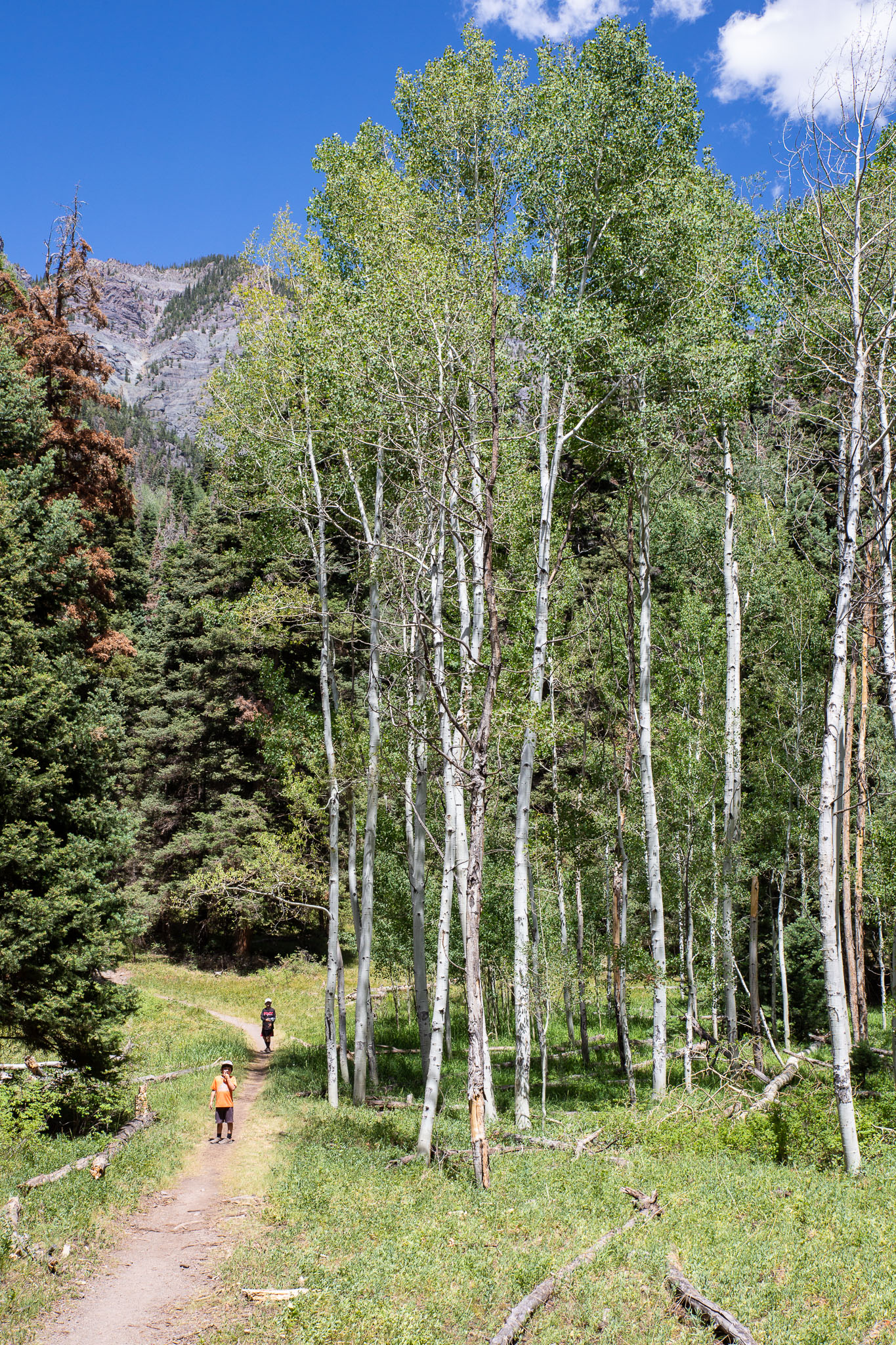 Colorado2020-0366-347.jpg