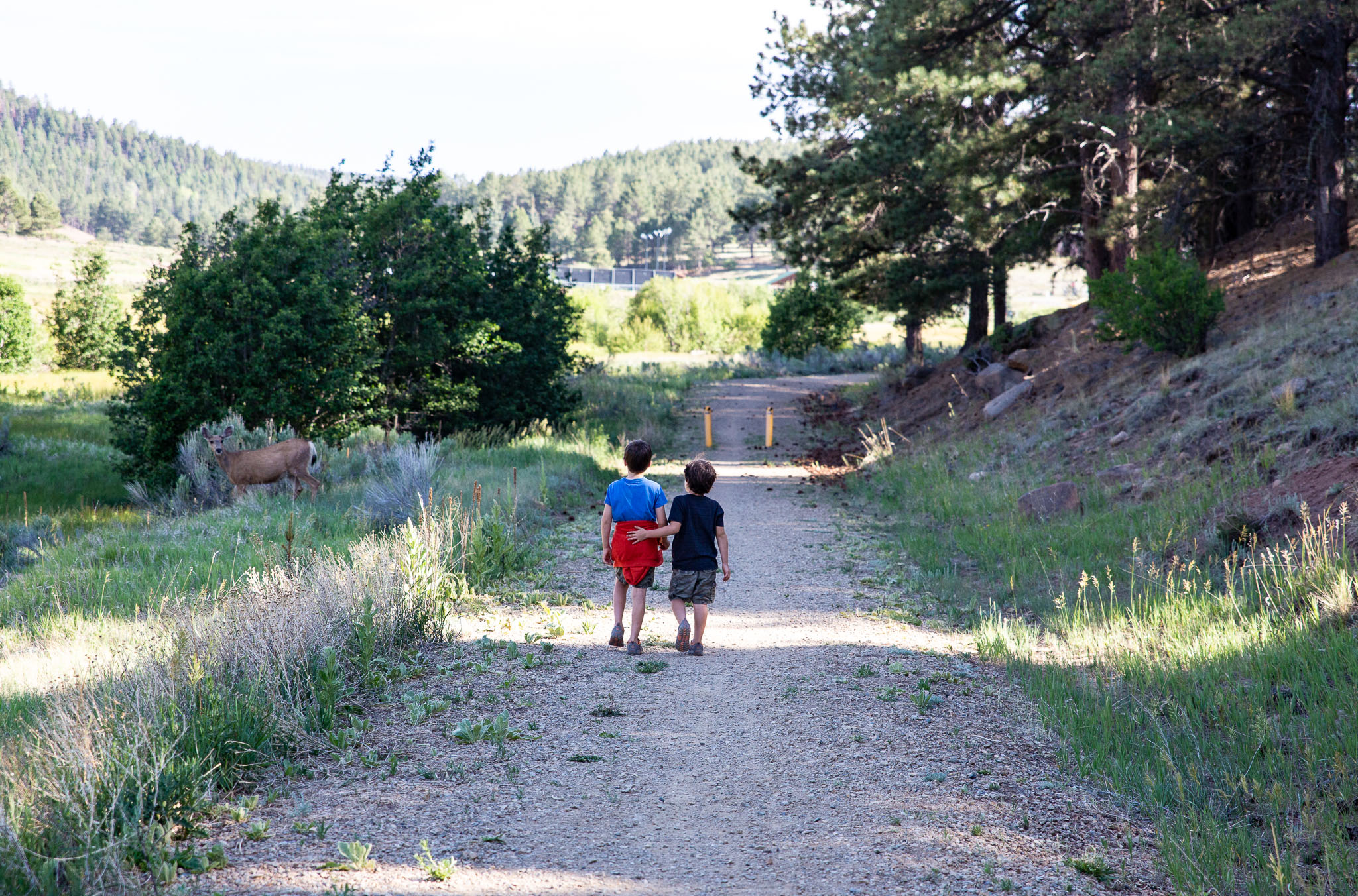 Colorado2020-0366-50.jpg