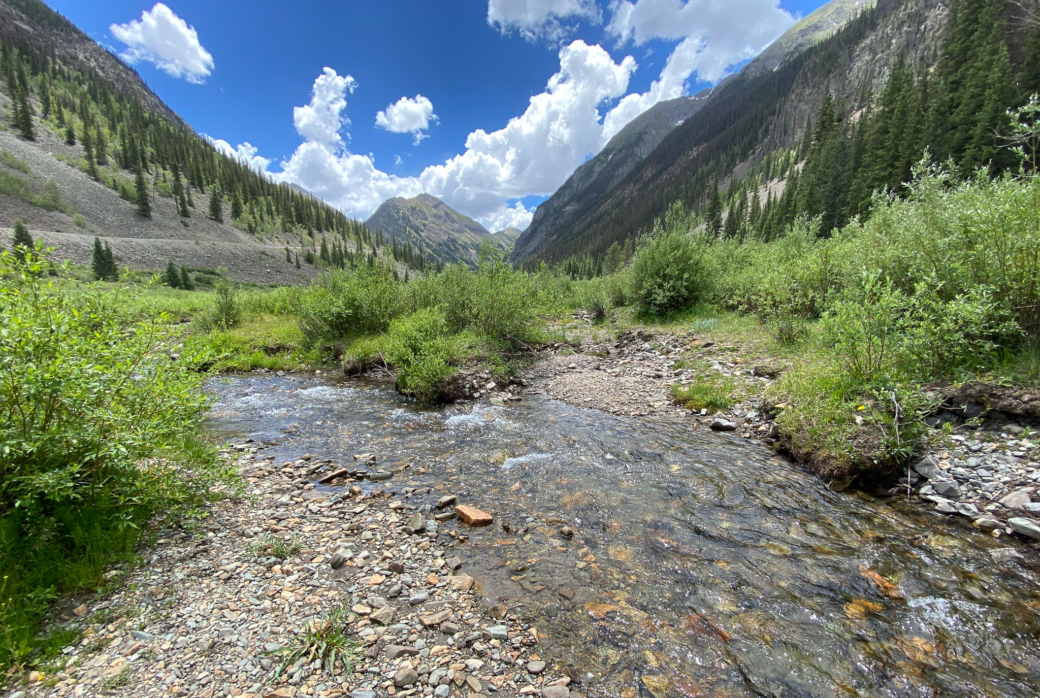 IMG_2534.jpg