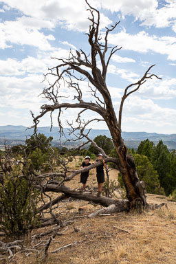 Colorado2020-0366-135.jpg