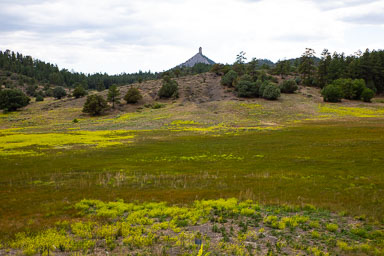 Colorado2020-0366-146.jpg