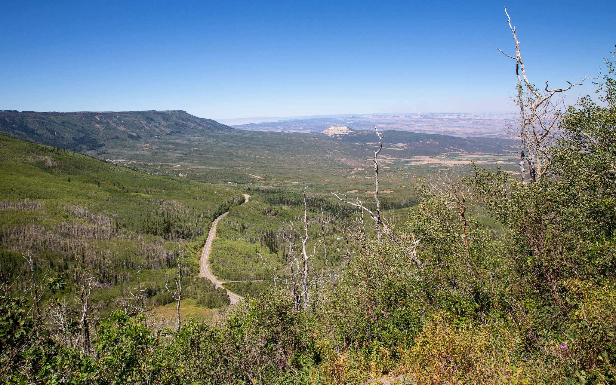Colorado2020-0270-14.jpg
