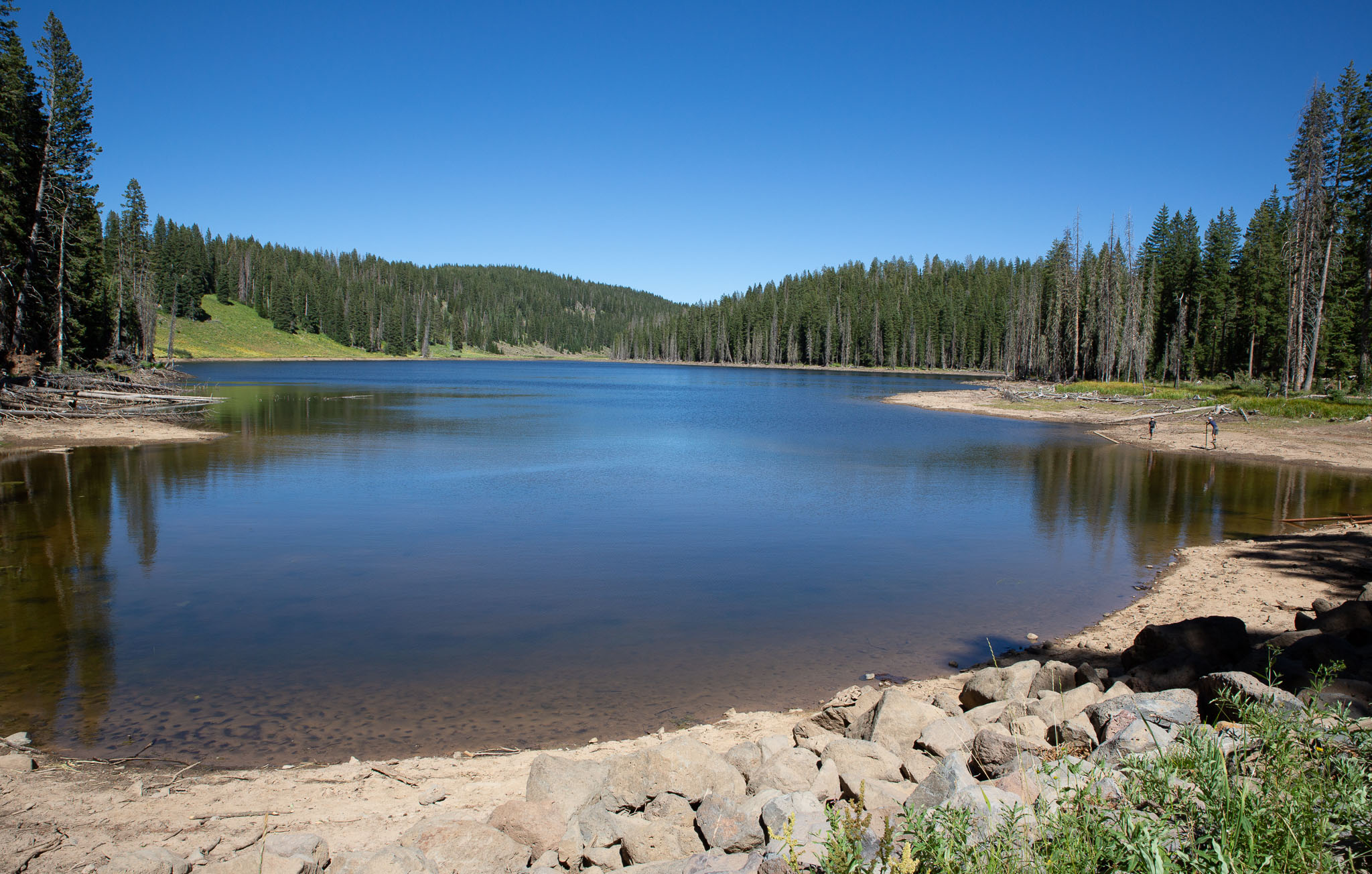 Colorado2020-0270-147.jpg