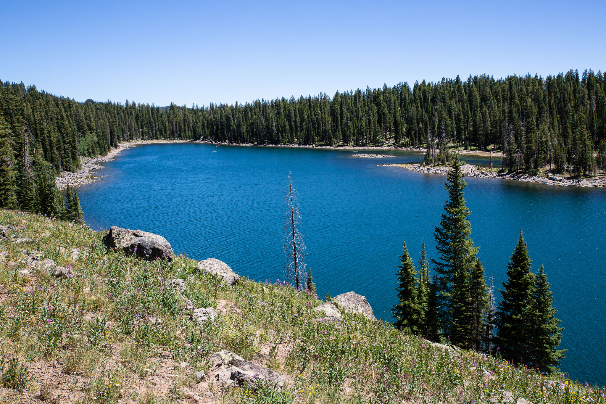Colorado2020-0270-208.jpg