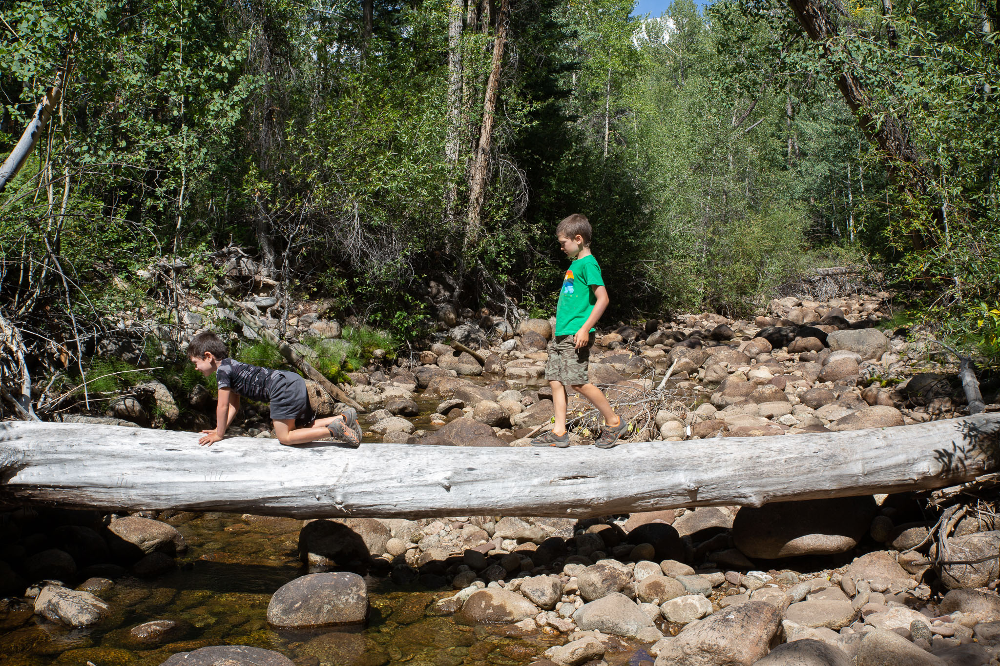 Colorado2020-0270-21.jpg