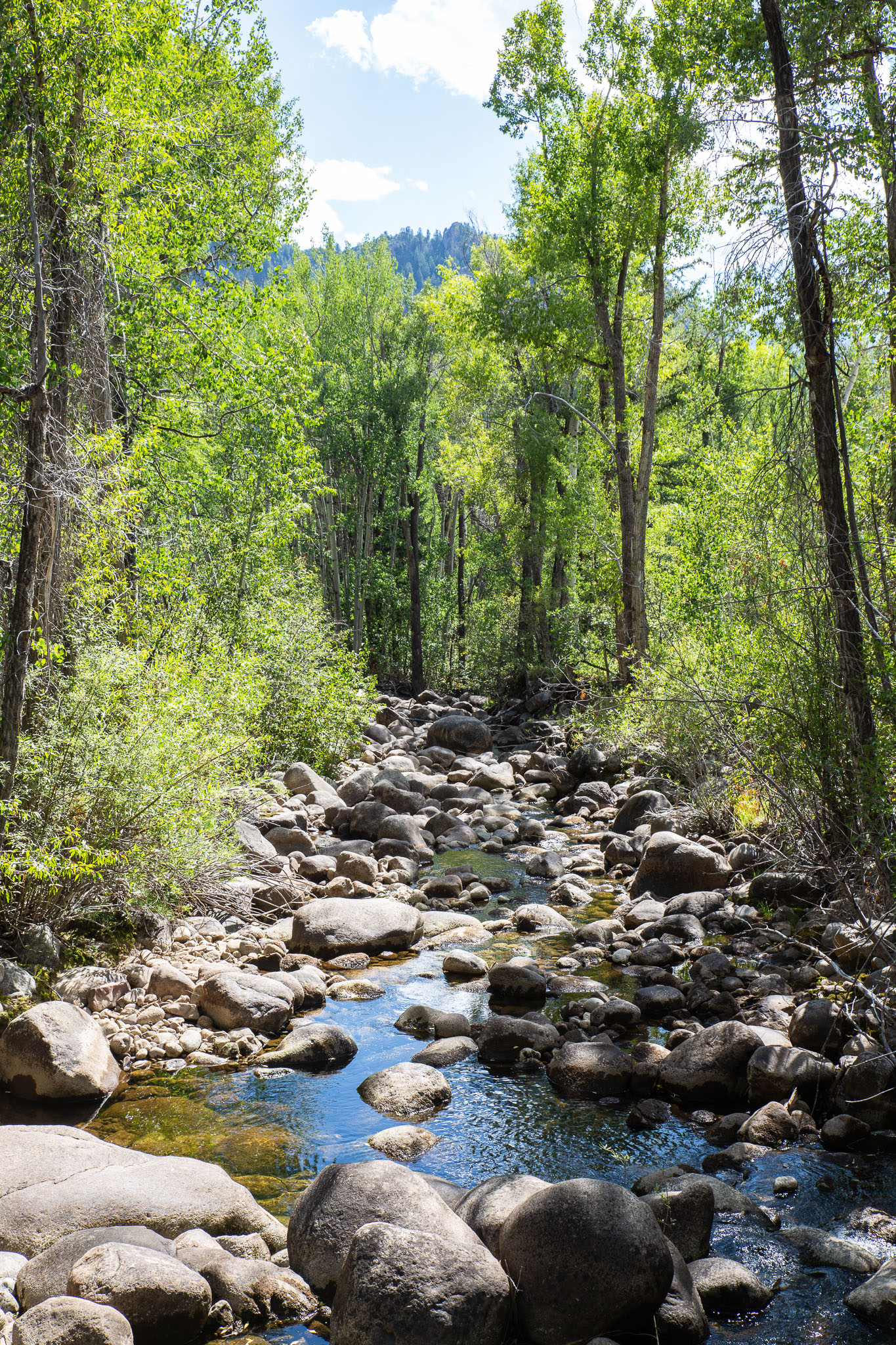Colorado2020-0270-252.jpg