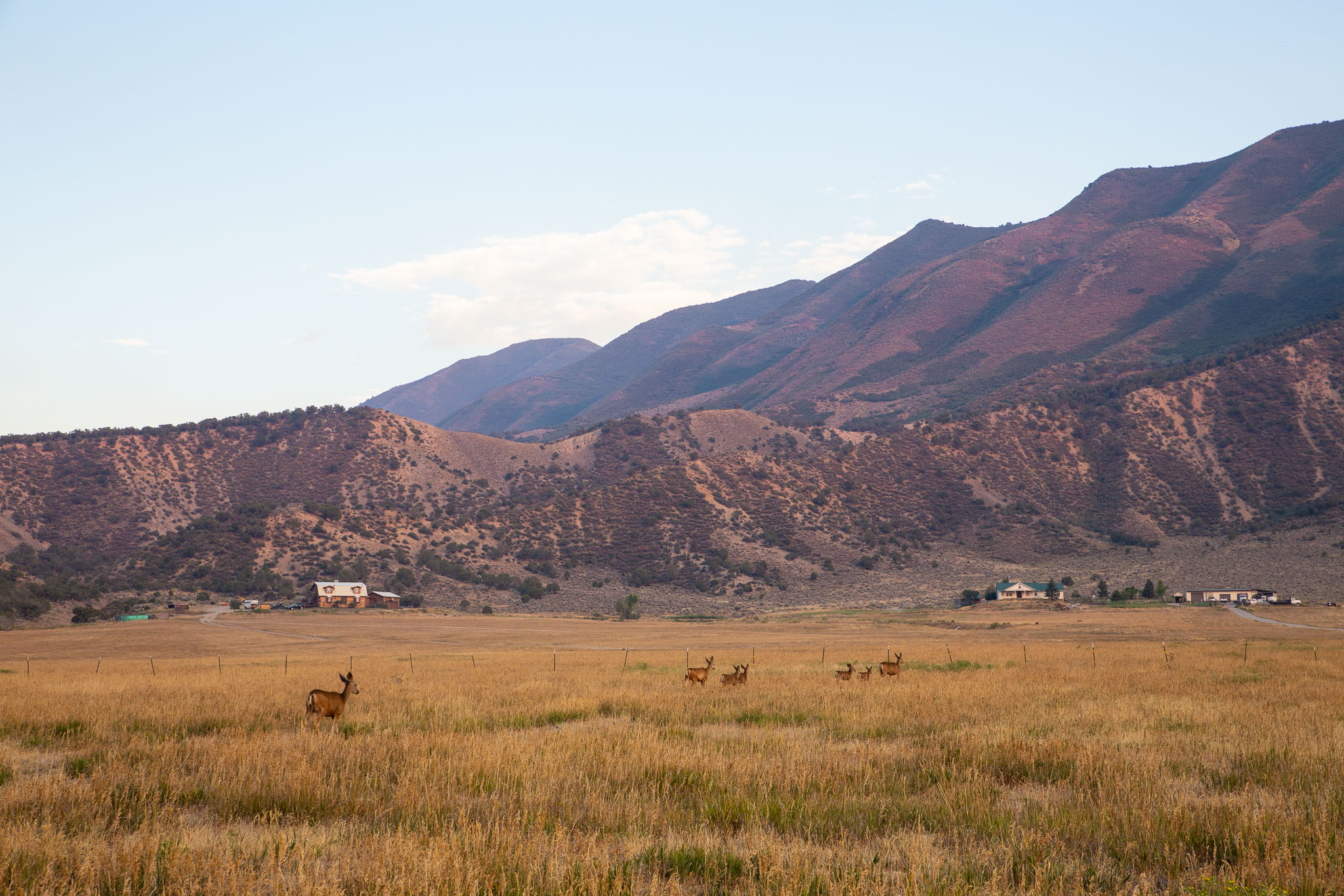 Colorado2020-0270-40.jpg