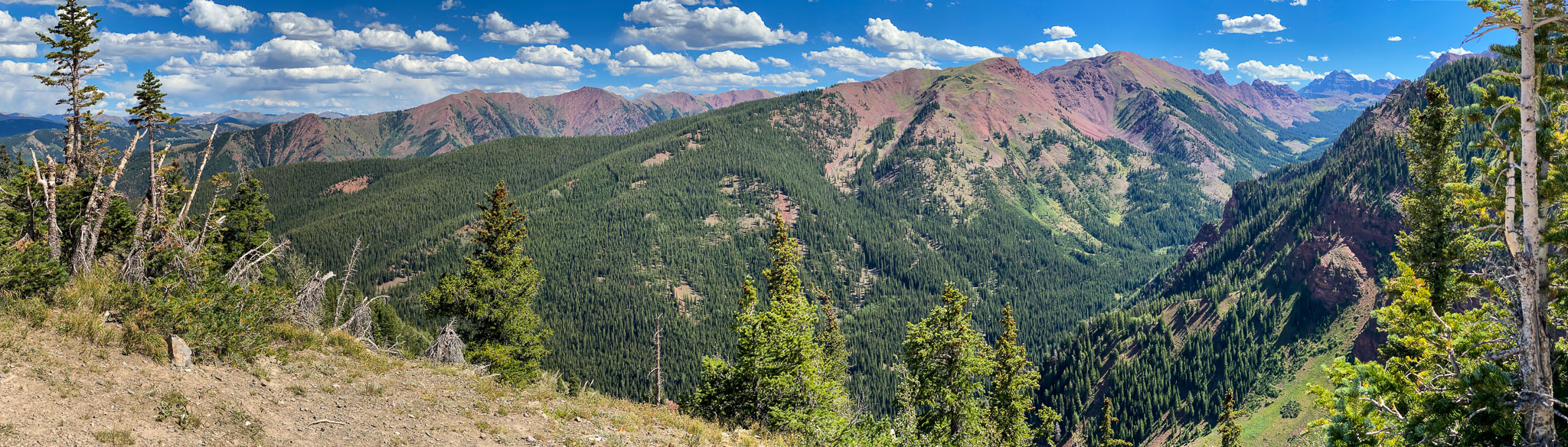 IMG_3168.jpg