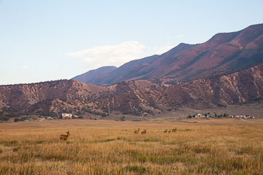 Colorado2020-0270-40.jpg