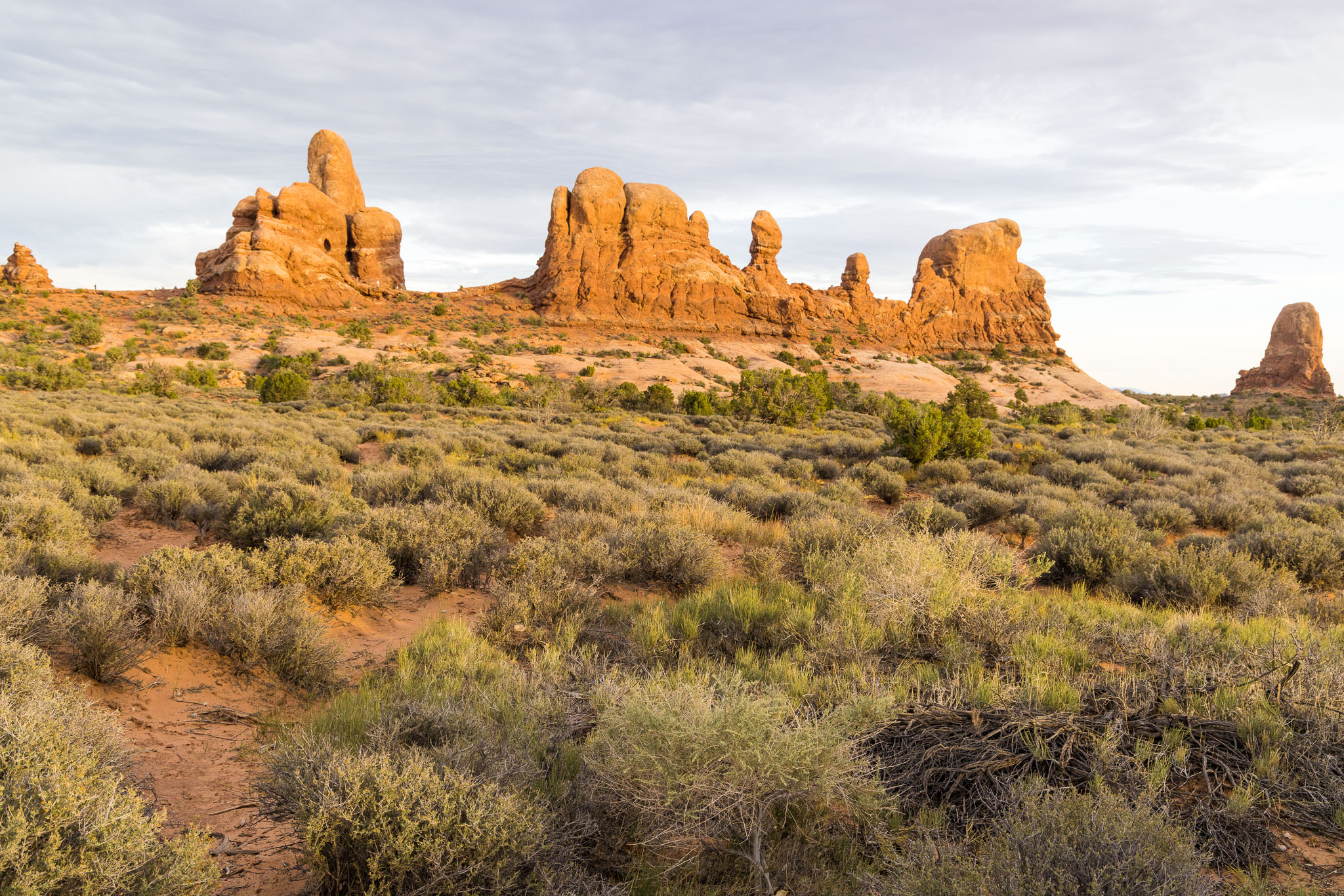 Moab2020-0588-239.jpg