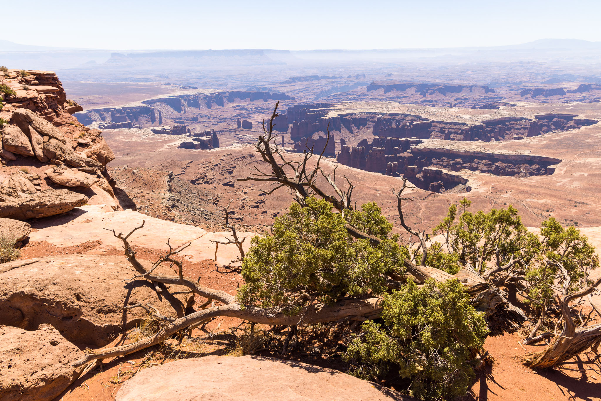 Moab2020-0588-439.jpg