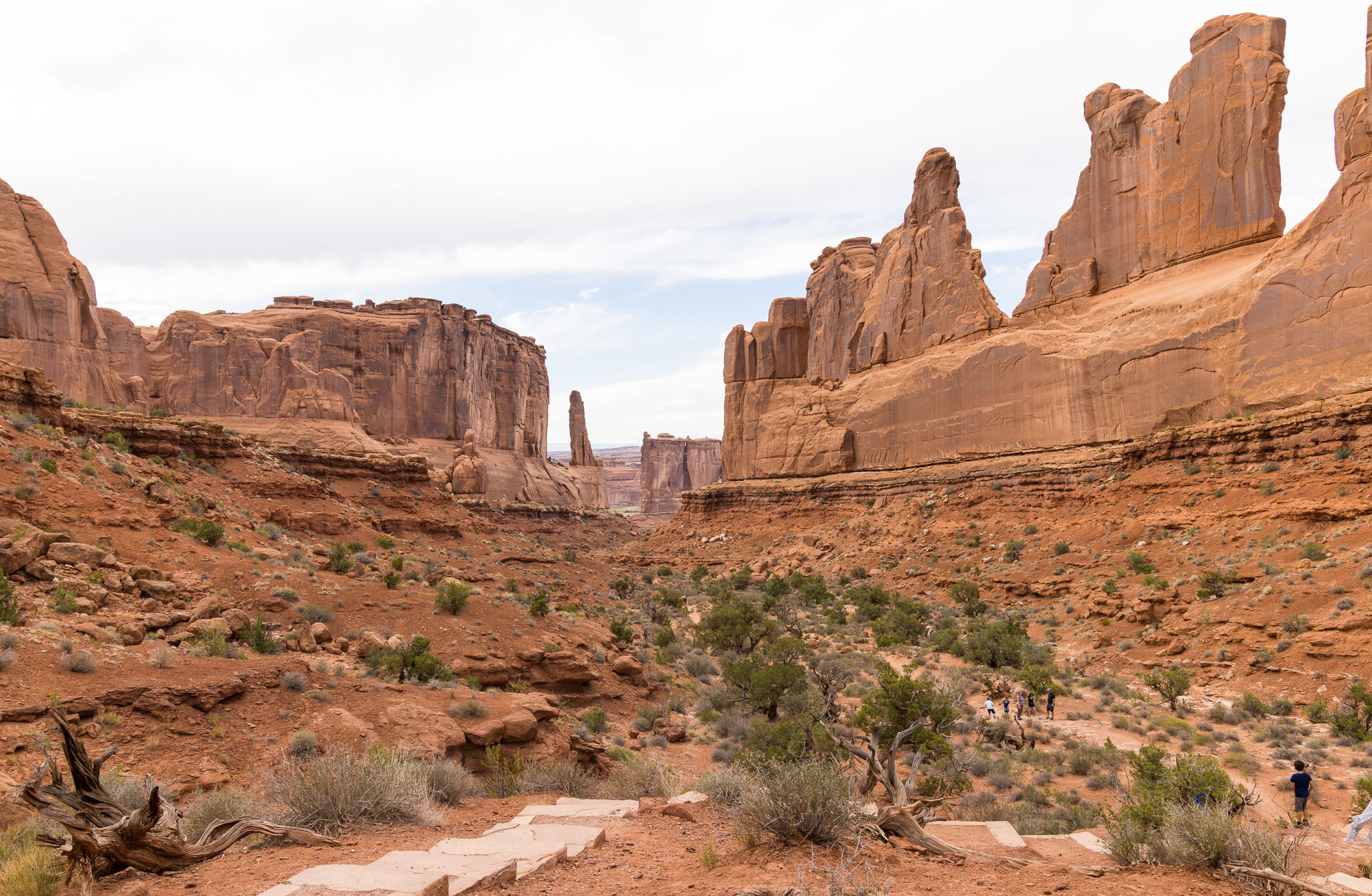 Moab2020-0588-62.jpg