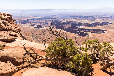 Moab2020-0588-439.jpg