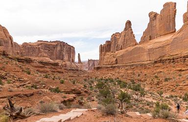 Moab2020-0588-62.jpg