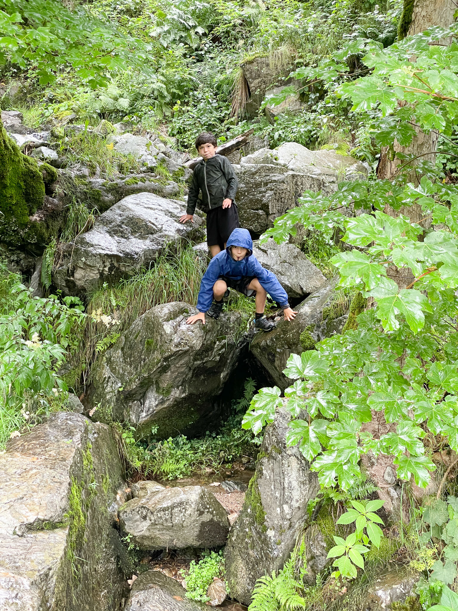 IMG_0889.jpg