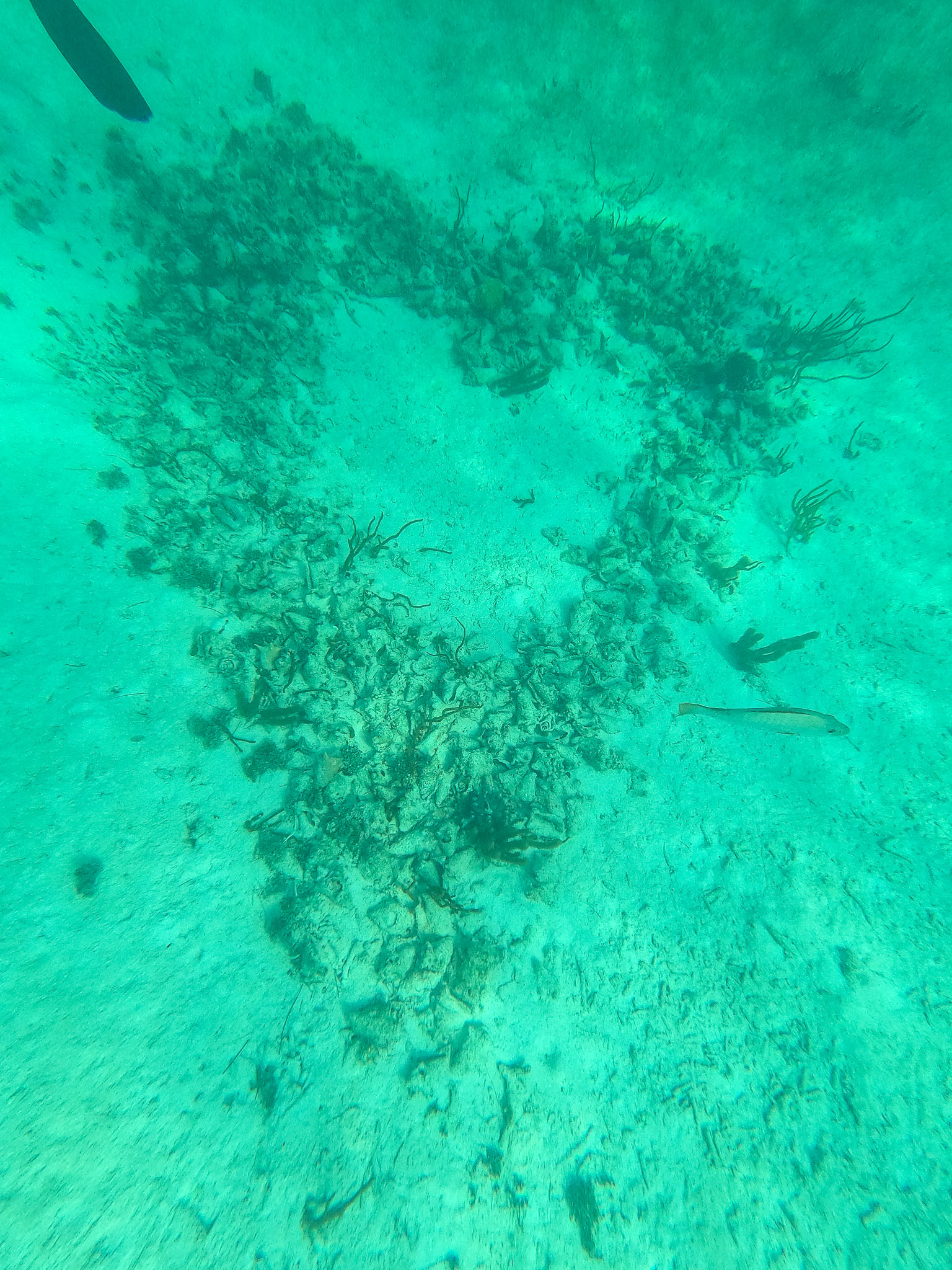 Belize2021-0060-12.jpg