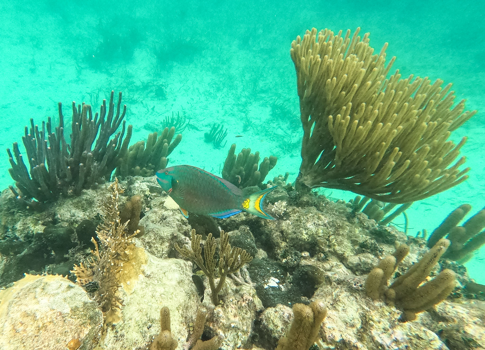 Belize2021-0060-27.jpg