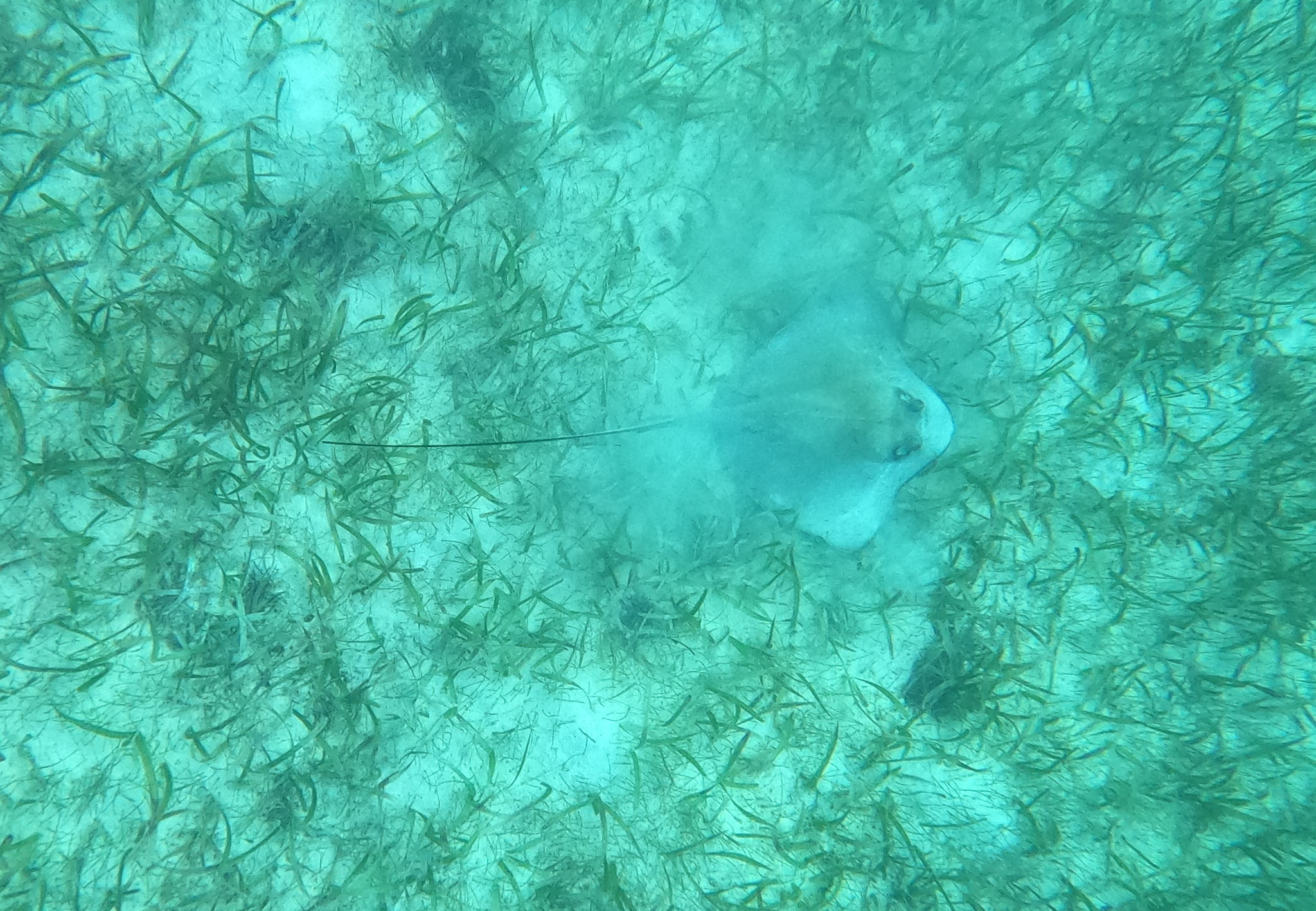 Belize2021-0060-49.jpg