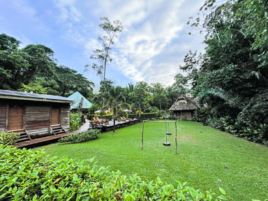 IMG_2052.jpg