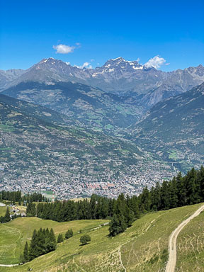 IMG_3964.jpg
