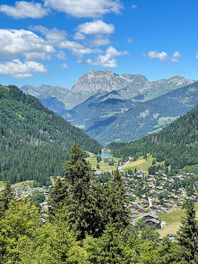 IMG_4287.jpg
