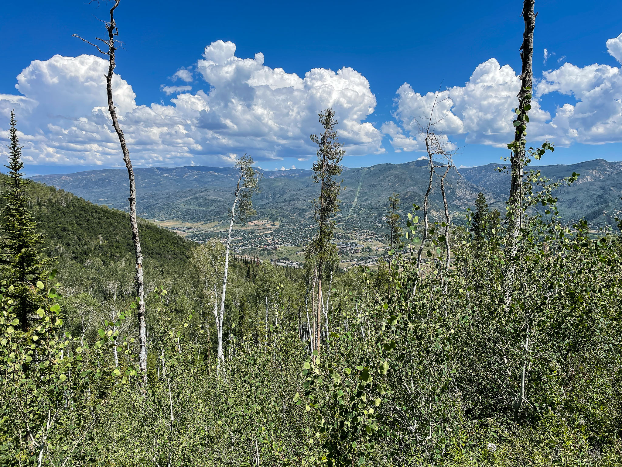 IMG_4879.jpg
