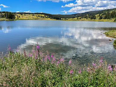 IMG_4858.jpg