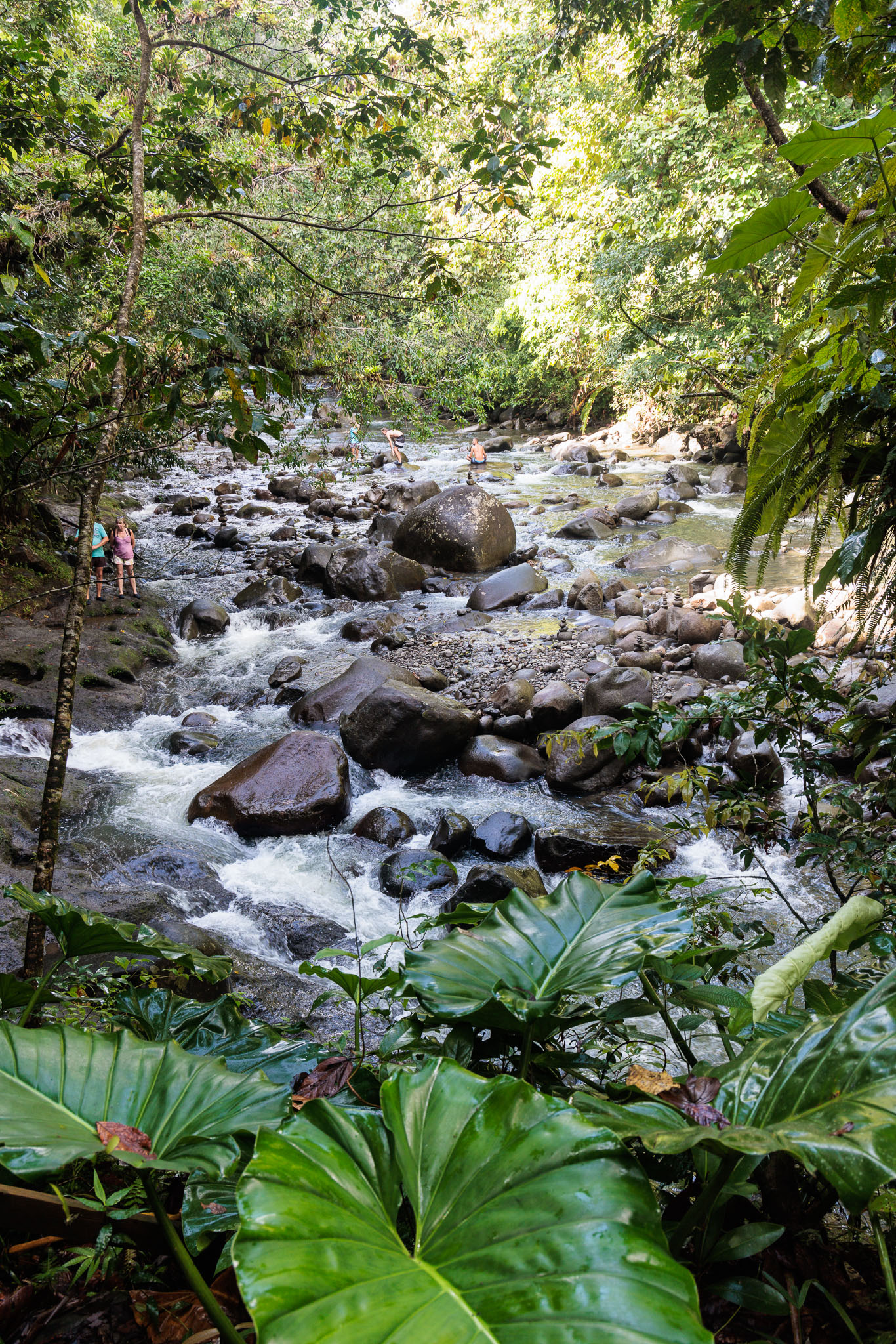 Guadeloupe2022-0114-12.jpg